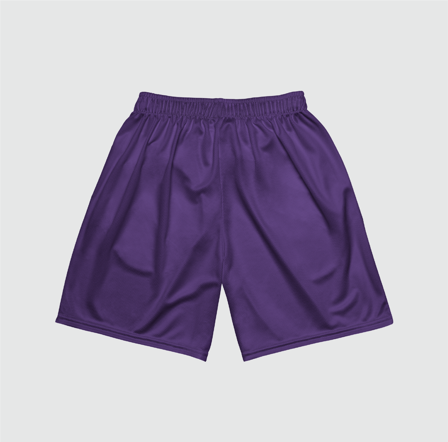 Outline Mesh Shorts