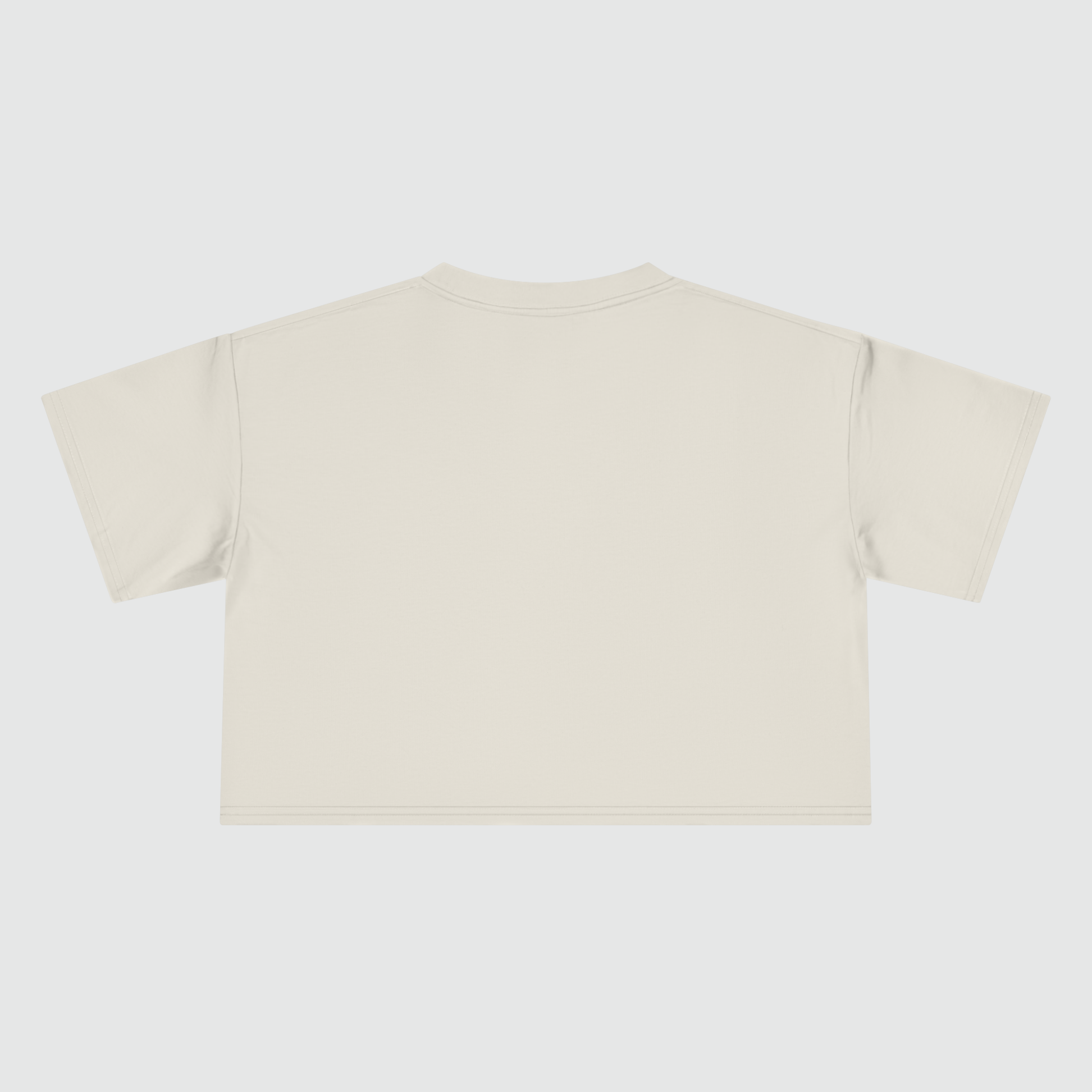 Arc Crop Tee