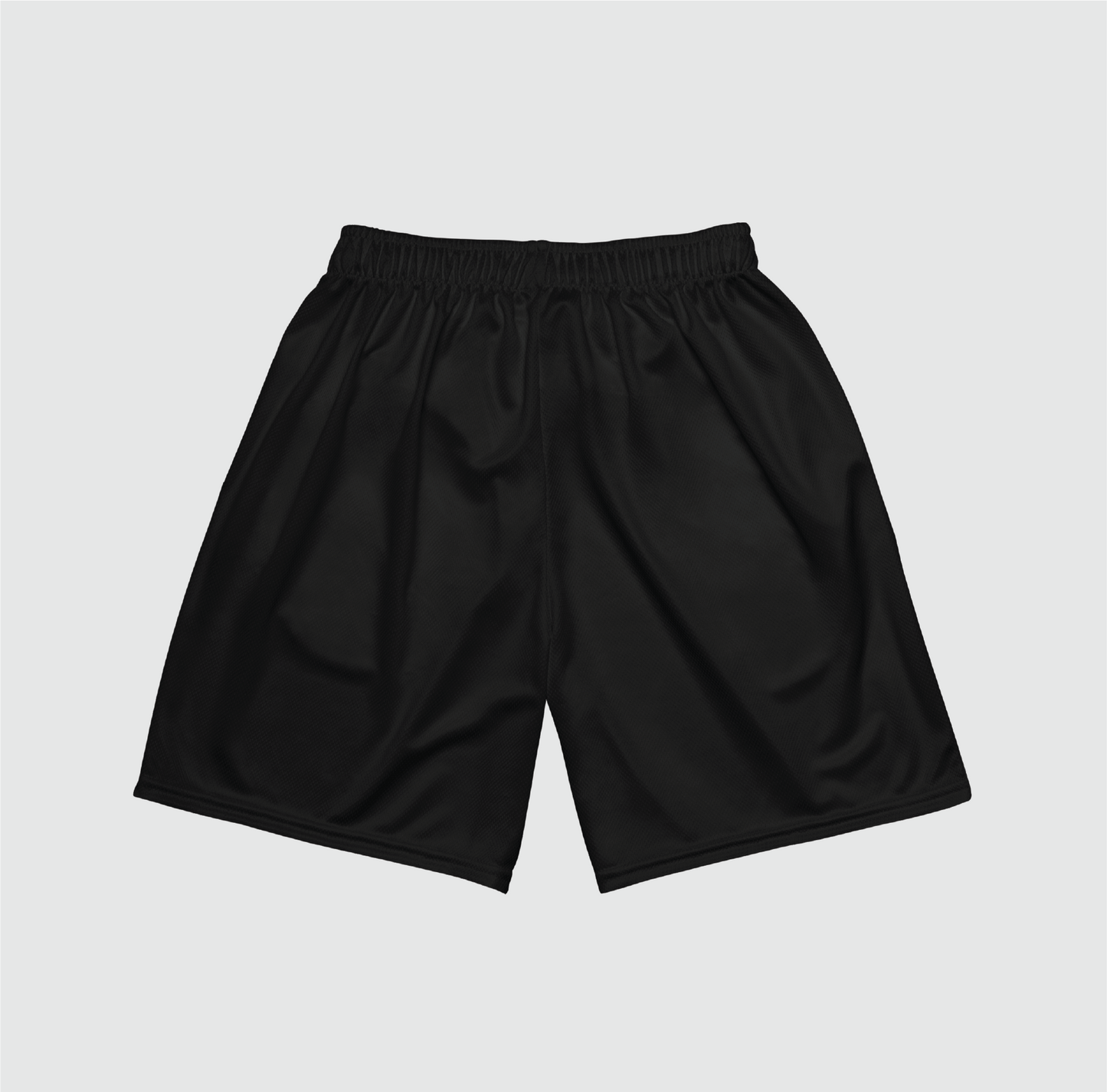 Outline Mesh Shorts